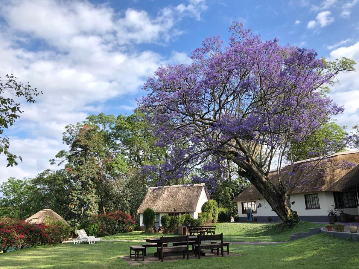 Thokozani Lodge 화이트 리버 외부 사진