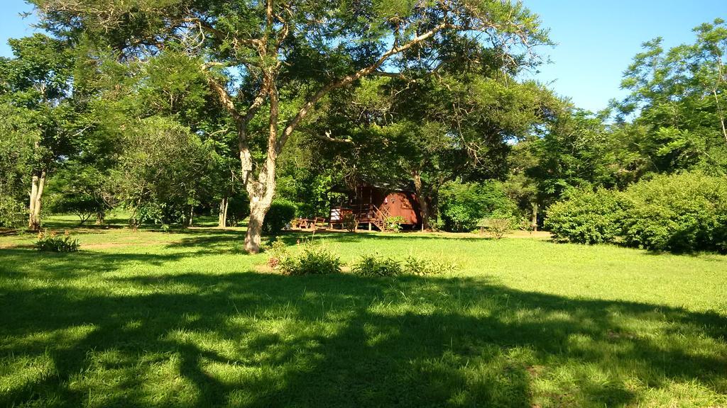 Thokozani Lodge 화이트 리버 외부 사진